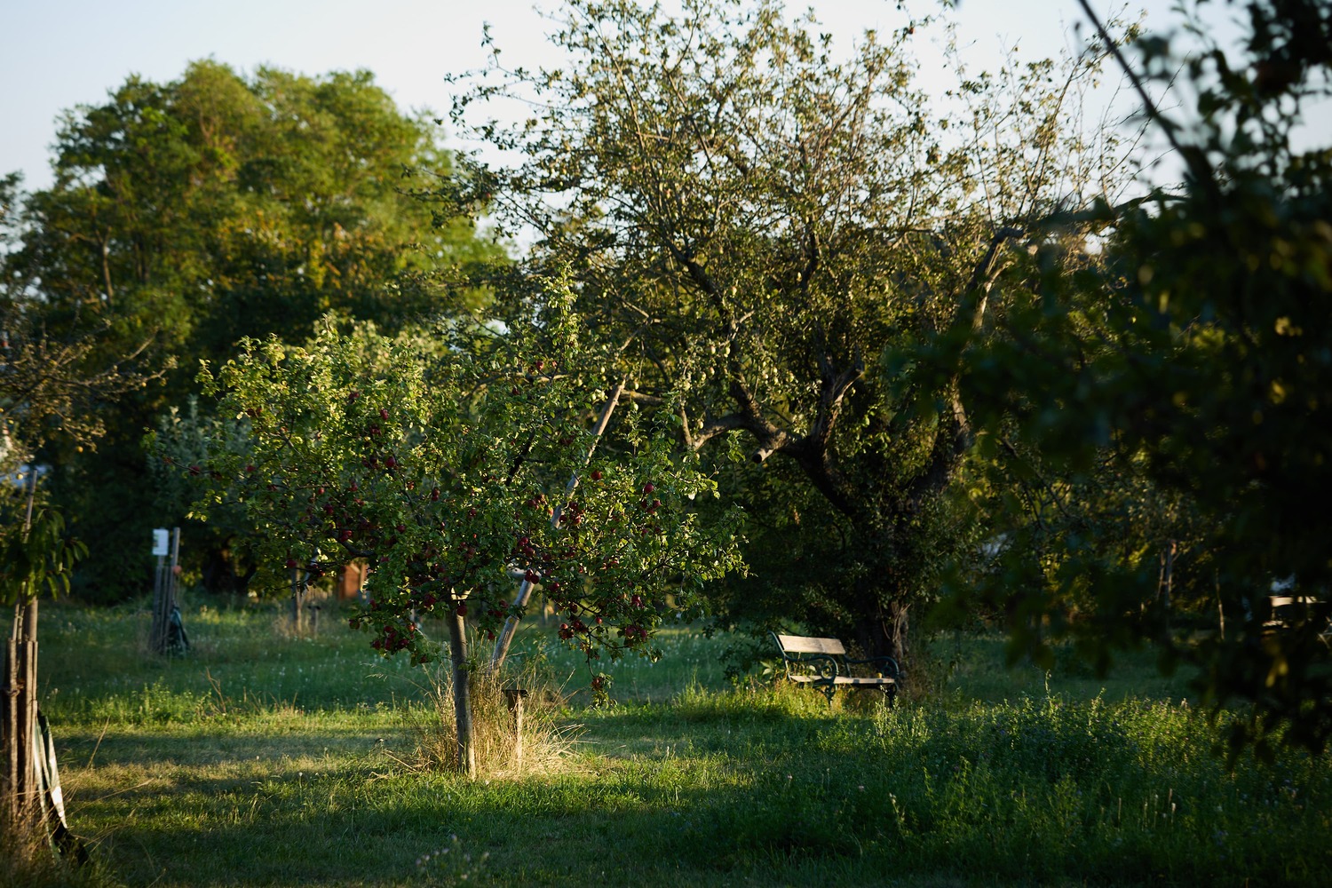 Standortfragen und Allgemeines