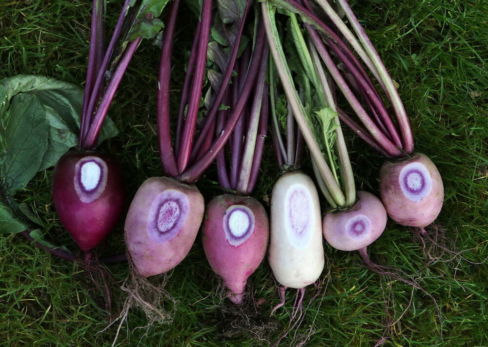 Rettich-Variationen, angeschnitten