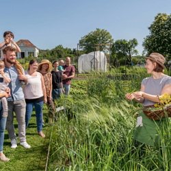 Das wäre der Text und der ist zum Beipspiel ganz lange. Das ist dann in der zweiten Zeile.