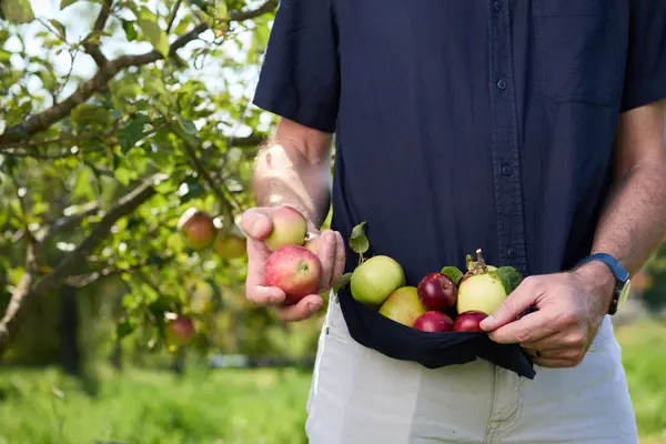 Gemüse und Feldfrüchte